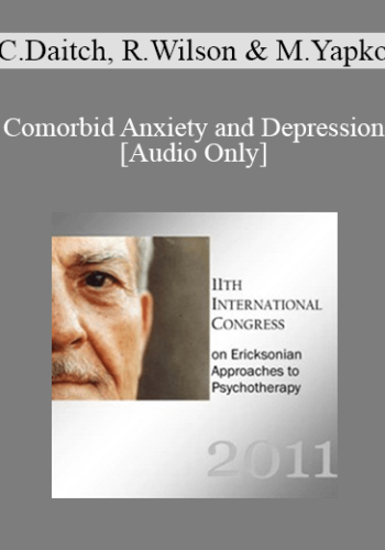 [Audio] IC11 Dialogue 08 – Comorbid Anxiety And Depression – Carolyn Daitch, Reid Wilson, And Michael Yapko