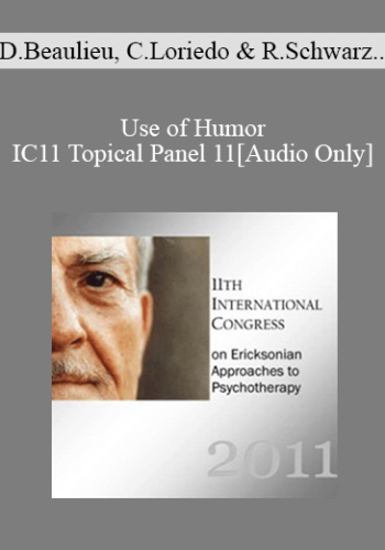 [Audio] IC11 Topical Panel 11 – Use Of Humor – Danie Beaulieu, Camillo Loriedo, Robert Schwarz, And Bernhard Trenkle