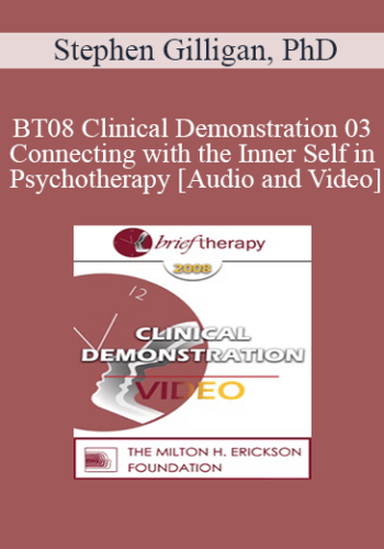 [Audio And Video] BT08 Clinical Demonstration 03 – Connecting With The Inner Self In Psychotherapy – Stephen Gilligan, PhD
