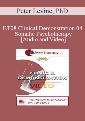 [Audio and Video] BT08 Clinical Demonstration 04 - Somatic Psychotherapy - Peter Levine, PhD