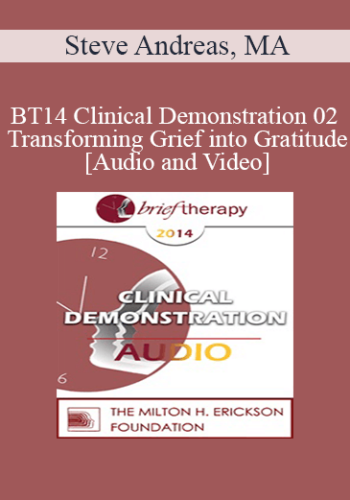 BT14 Clinical Demonstration 02 – Transforming Grief Into Gratitude – Steve Andreas, MA