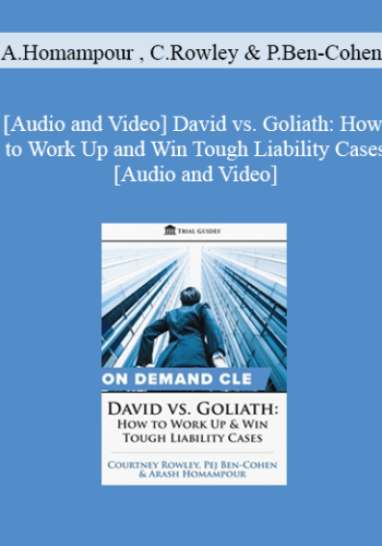 Trial Guides – David Vs. Goliath: How To Work Up And Win Tough Liability Cases