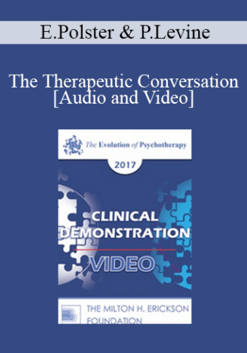 EP17 Clinical Demonstration With Discussant 05 – The Therapeutic Conversation: A Reunion Of The Minds – Erving Polster, PhD And Peter Levine, PhD