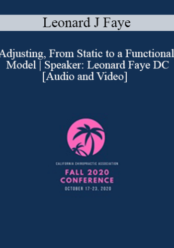 Leonard J Faye – Adjusting, From Static To A Functional Model | Speaker: Leonard Faye DC