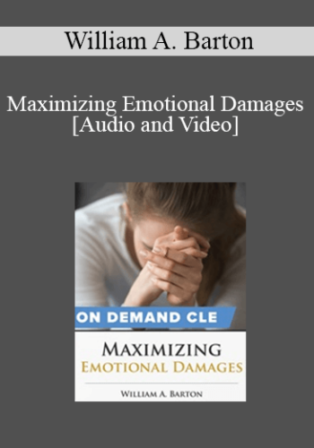Trial Guides – Maximizing Emotional Damages