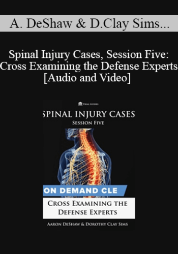 Trial Guides – Spinal Injury Cases, Session Five: Cross Examining The Defense Experts