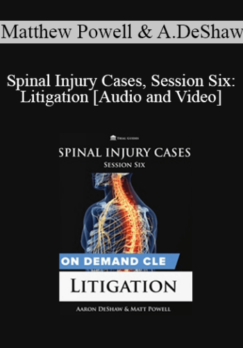 Trial Guides – Spinal Injury Cases, Session Six: Litigation