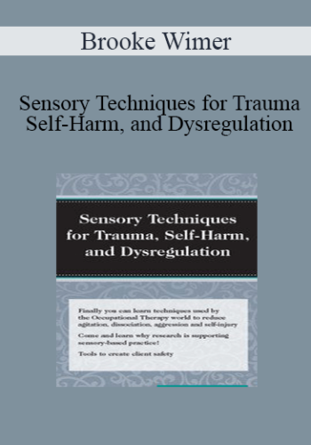 Brooke Wimer – Sensory Techniques For Trauma, Self-Harm, And Dysregulation