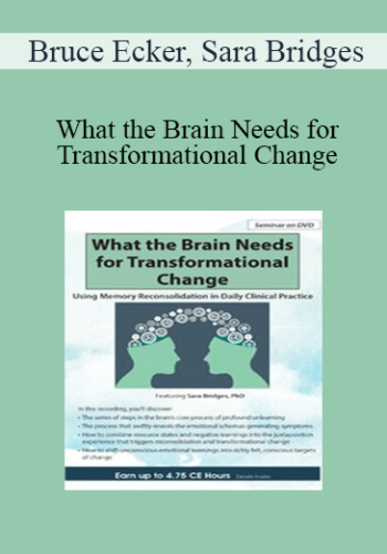 Bruce Ecker, Sara Bridges - What the Brain Needs for Transformational Change: Using Memory Reconsolidation in Daily Clinical Practice