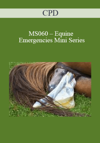 CPD – MS060 – Equine Emergencies Mini Series
