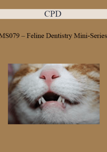CPD – MS079 – Feline Dentistry Mini-Series