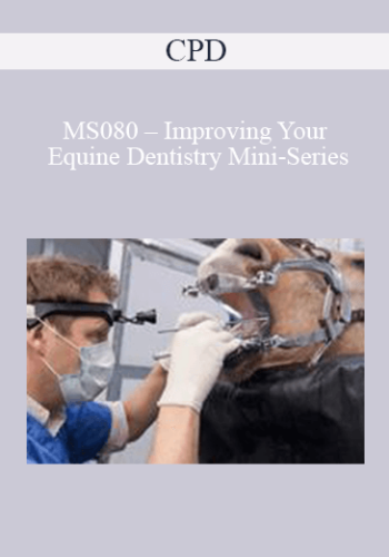 CPD – MS080 – Improving Your Equine Dentistry Mini-Series