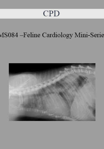 CPD – MS084 – Feline Cardiology Mini-Series