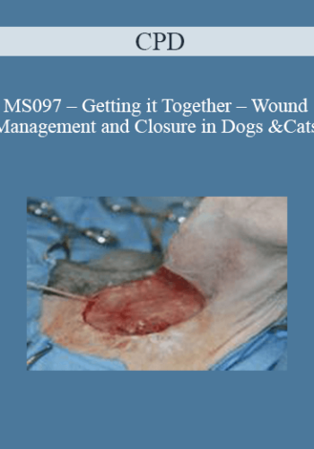 CPD - MS097 – Getting it Together – Wound Management and Closure in Dogs and Cats