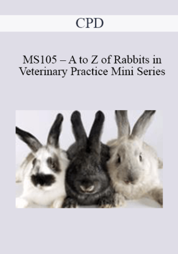CPD – MS105 – A To Z Of Rabbits In Veterinary Practice Mini Series