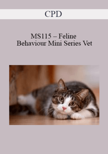 CPD – MS115 – Feline Behaviour Mini Series Vet