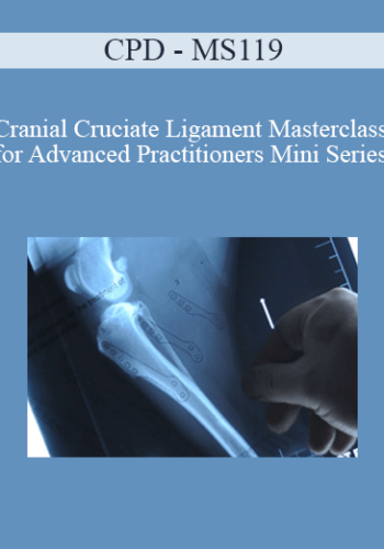 CPD – MS119 – Cranial Cruciate Ligament Masterclass For Advanced Practitioners Mini Series
