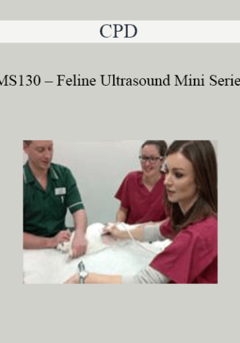 CPD – MS130 – Feline Ultrasound Mini Series