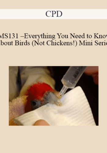 CPD – MS131 – Everything You Need To Know About Birds (Not Chickens!) Mini Series
