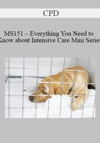 CPD – MS151 – Everything You Need To Know About Intensive Care Mini Series