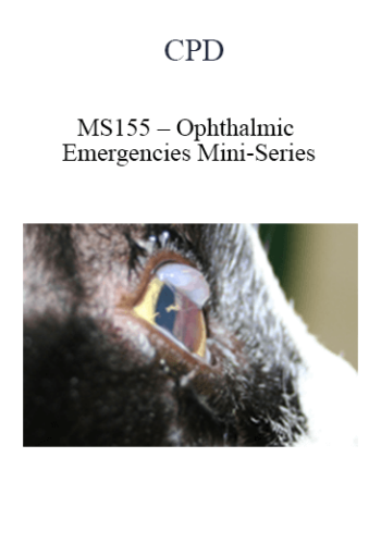 CPD – MS155 – Ophthalmic Emergencies Mini-Series