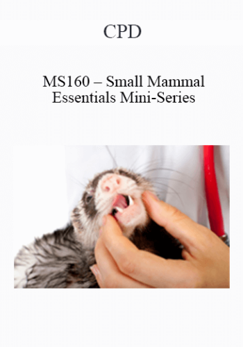 CPD – MS160 – Small Mammal Essentials Mini-Series