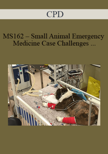 CPD – MS162 – Small Animal Emergency Medicine Case Challenges For Advanced Practitioners Mini Series