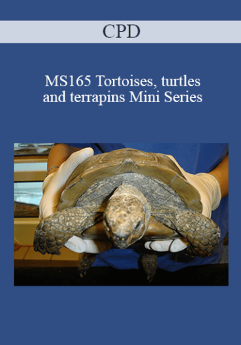 CPD – MS165 Tortoises, Turtles And Terrapins Mini Series