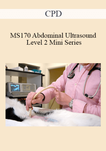 CPD – MS170 Abdominal Ultrasound Level 2 Mini Series