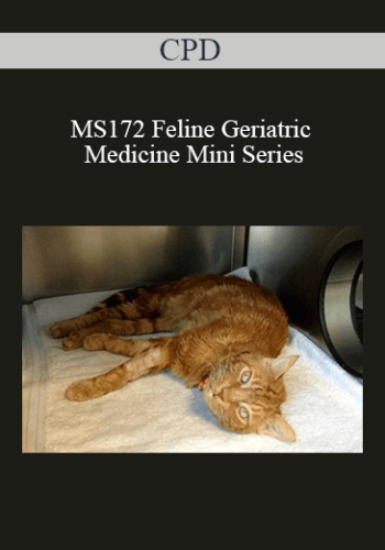 CPD – MS172 Feline Geriatric Medicine Mini Series