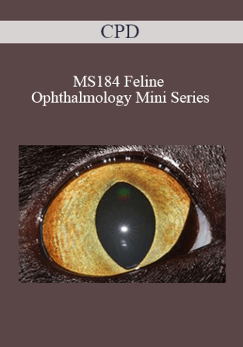 CPD - MS184 Feline Ophthalmology Mini Series