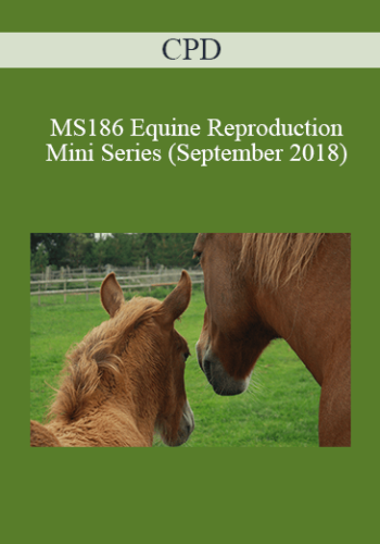 CPD - MS186 Equine Reproduction Mini Series (September 2018)