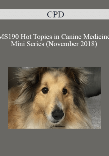 CPD – MS190 Hot Topics In Canine Medicine Mini Series (November 2018)