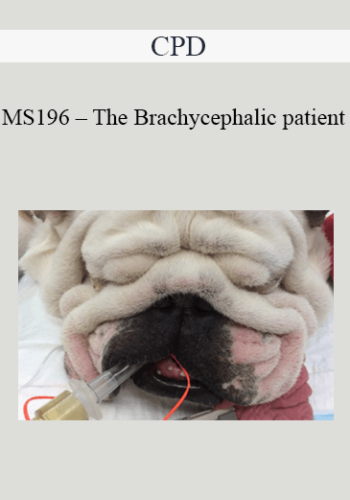 CPD – MS196 – The Brachycephalic Patient