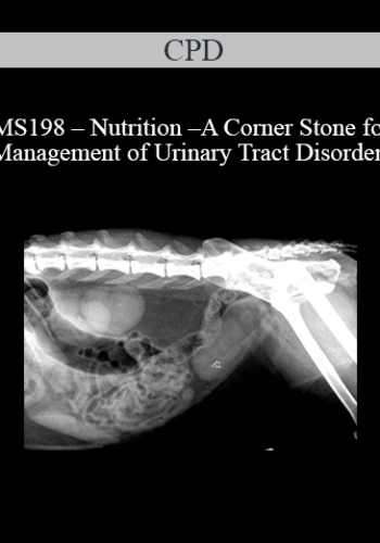 CPD – MS198 – Nutrition – A Corner Stone For Management Of Urinary Tract Disorders