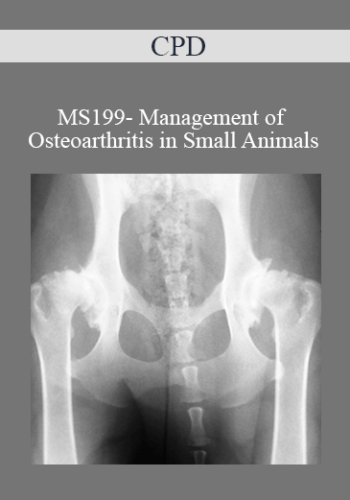 CPD – MS199- Management Of Osteoarthritis In Small Animals