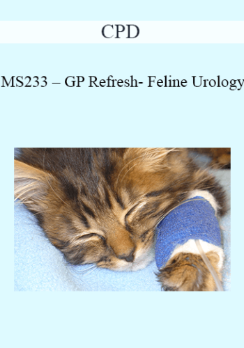 CPD - MS233 – GP Refresh- Feline Urology