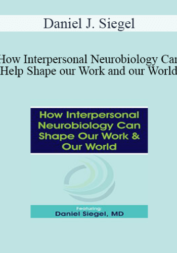 Daniel J. Siegel - How Interpersonal Neurobiology Can Help Shape our Work and our World