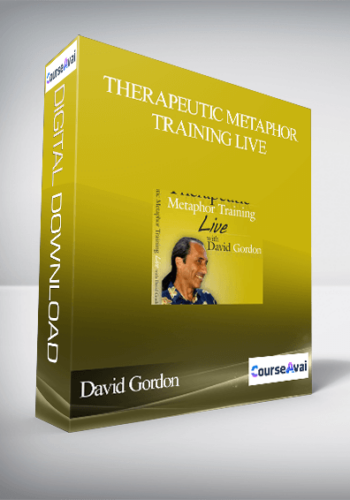 David Gordon – Therapeutic Metaphor Training LIVE