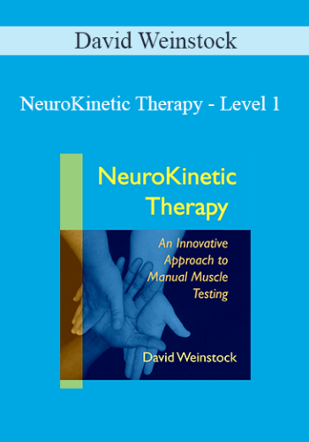 David Weinstock – NeuroKinetic Therapy – Level 1