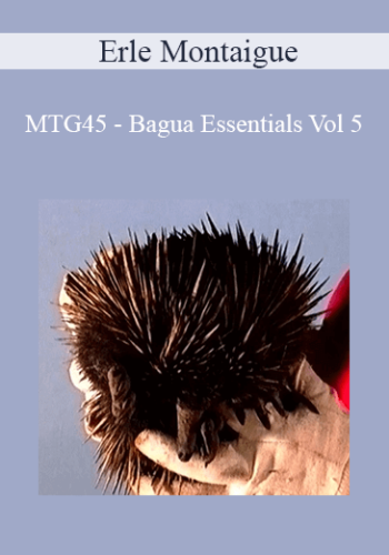 Erle Montaigue – MTG45 – Bagua Essentials Vol 5