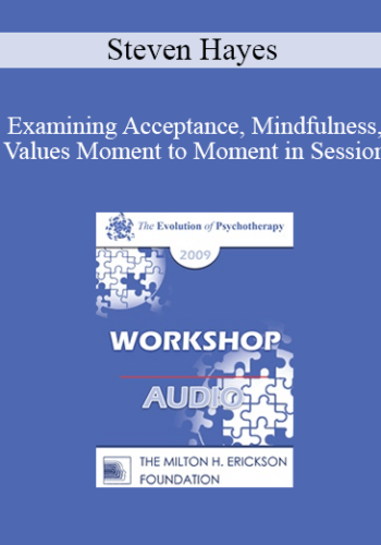 [Audio] EP09 Workshop 37 - Examining Acceptance, Mindfulness, Values Moment to Moment in Session - Steven Hayes, PhD