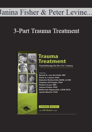 Janina Fisher, Peter Levine, Jamie Marich, Babette Rothschild, Belleruth Naparstek, Robert Scaer, Stephen Porges, Bessel Van Der Kolk – 3-Part Trauma Treatment: Psychotherapy For The 21st Century