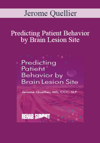 Jerome Quellier – Predicting Patient Behavior By Brain Lesion Site