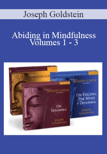 Joseph Goldstein – Abiding In Mindfulness Volumes 1 – 3