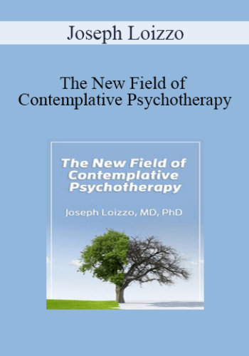Joseph Loizzo – The New Field Of Contemplative Psychotherapy