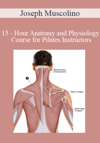 Joseph Muscolino – 15 – Hour Anatomy And Physiology Course For Pilates Instructors