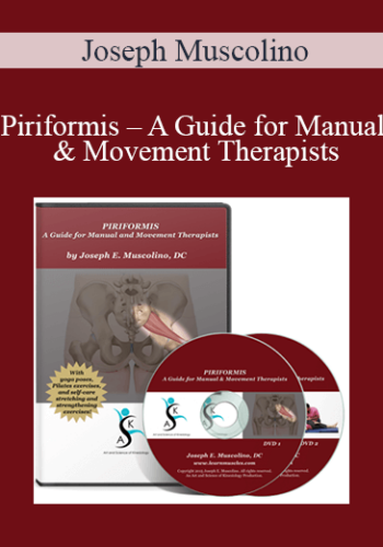 Joseph Muscolino – Piriformis – A Guide For Manual & Movement Therapists