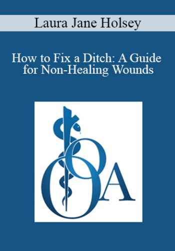 Laura Jane Holsey – How To Fix A Ditch: A Guide For Non-Healing Wounds