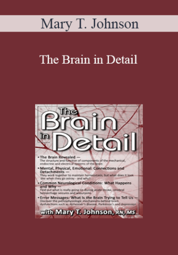 Mary T. Johnson – The Brain In Detail